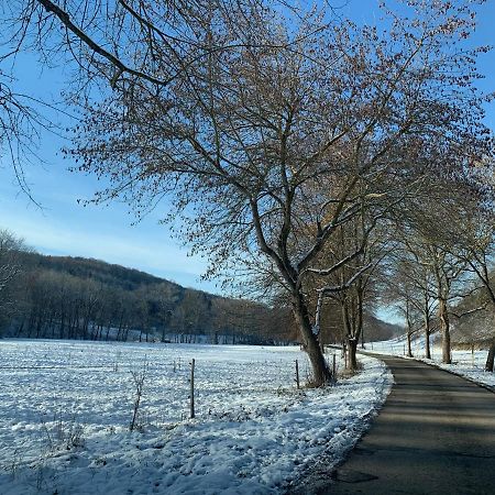 Gemuetliches Einfamilienhaus In Gera Mit 3 Schlafzimmern Mit Garten Und Parkplatz Exterior foto