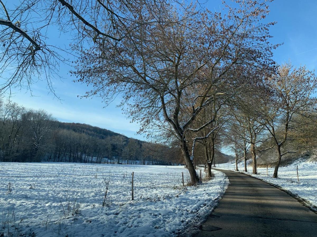 Gemuetliches Einfamilienhaus In Gera Mit 3 Schlafzimmern Mit Garten Und Parkplatz Exterior foto